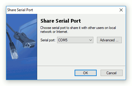 Share Virtual Serial Port