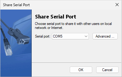 Share Virtual Serial Port